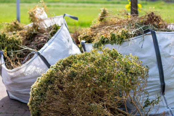 Best Hoarding Cleanup  in Viroqua, WI
